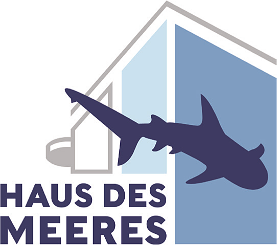 Hdm logo