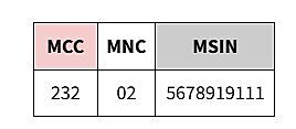 The structure of the IMSI code explained
