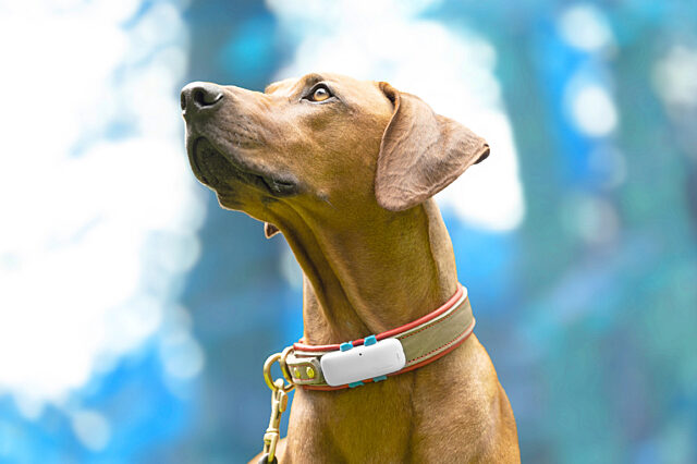 A1 Digital Case Studies tractive